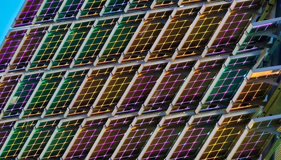 Distribuição Regional e Paisagem Competitiva
